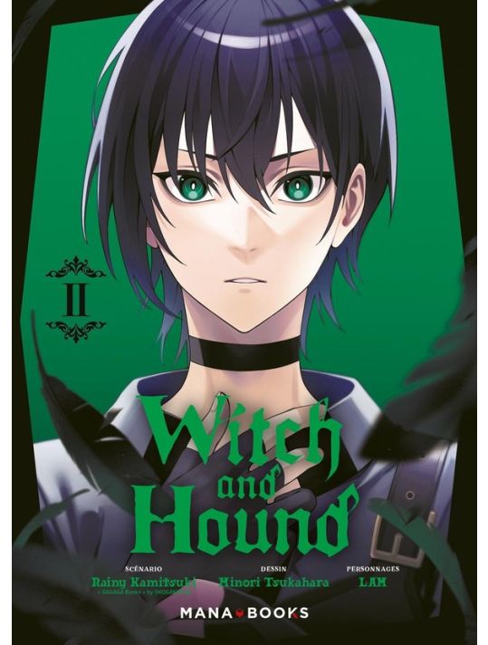 Witch and Hound tome 2 main product photo