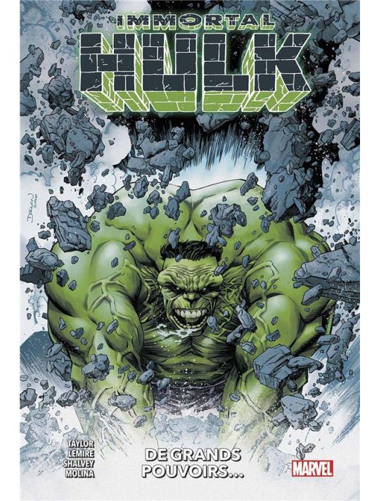 Immortal Hulk - À grands pouvoirs main product photo