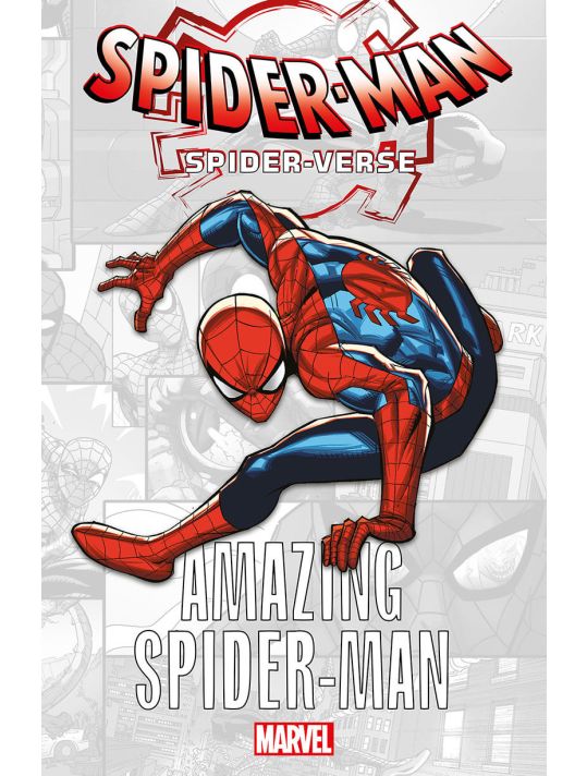 Marvel-verse - Amazing Spider-Man main product photo