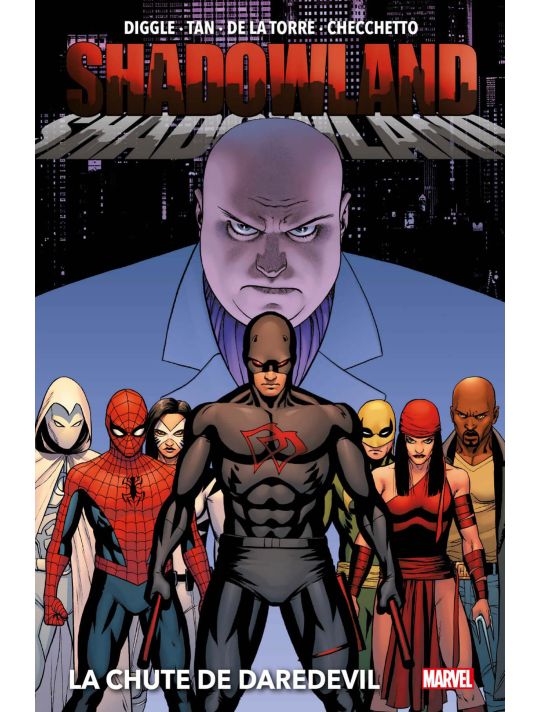 Shadowland - La chute de Daredevil main product photo