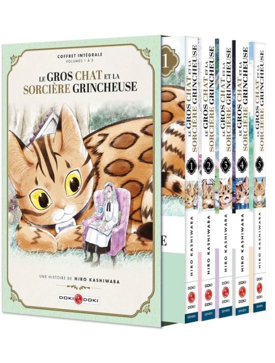 Le gros chat et la sorcière grincheuse - coffret tomes 1 à 5 main product photo