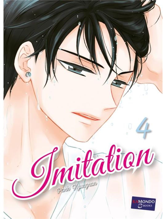 Imitation tome 4 main product photo
