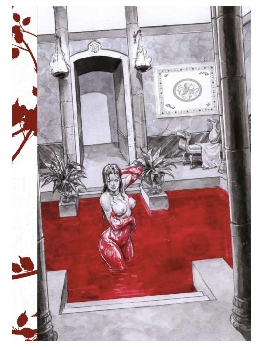 Elisabeth Bathory, la comtesse sanglante - tirage de tête main product photo