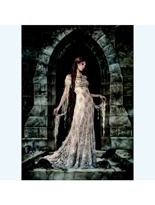 Affiche Favole N°7 Dark Sanctuary ; Francès ; 50x70 main product photo