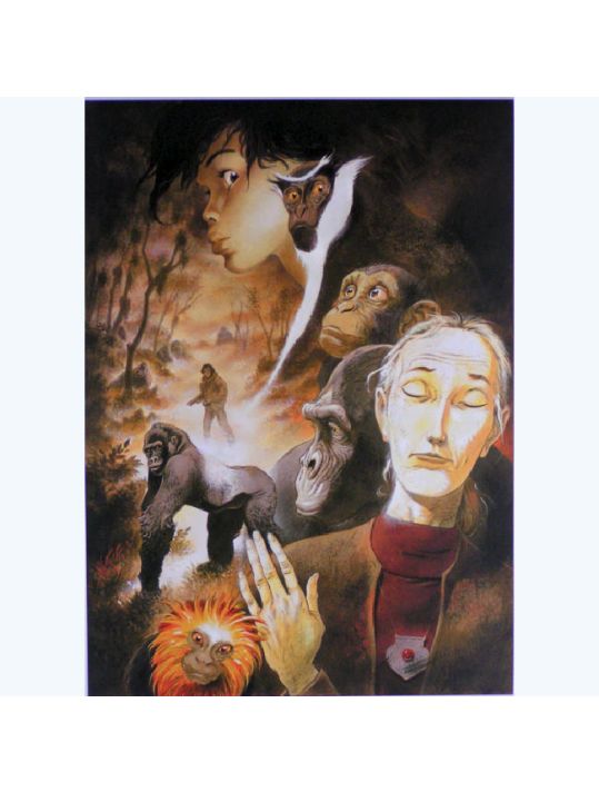 Affiche ; dicated to Dian Fossey ; Frank Pé ; Signée & Numérotée 250 ex. ; 50x70 main product photo