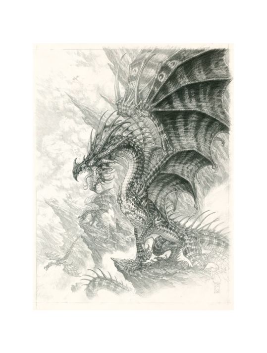 Affiche Crayonné Dragon ; Ledroit ; 40x50 main product photo