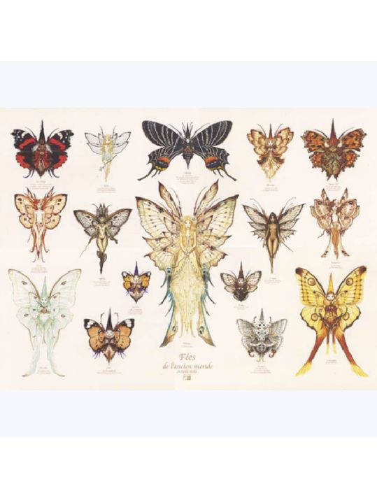 Affiche Les fées ; l'ancien monde avec lettrage ; Ledroit ; 60x80 main product photo