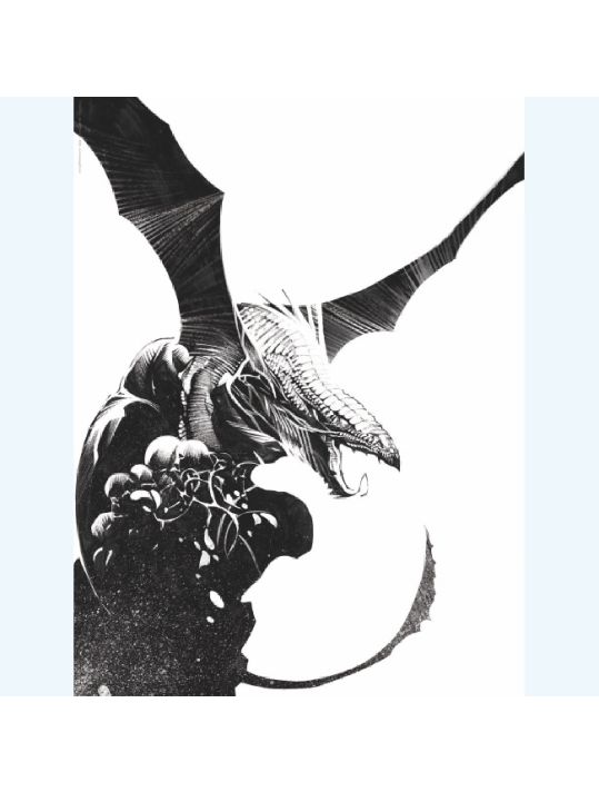 Affiche Dragon seul N°9 ; Varanda ; Signée & Numérotée 200 ex. ; 30x40 main product photo