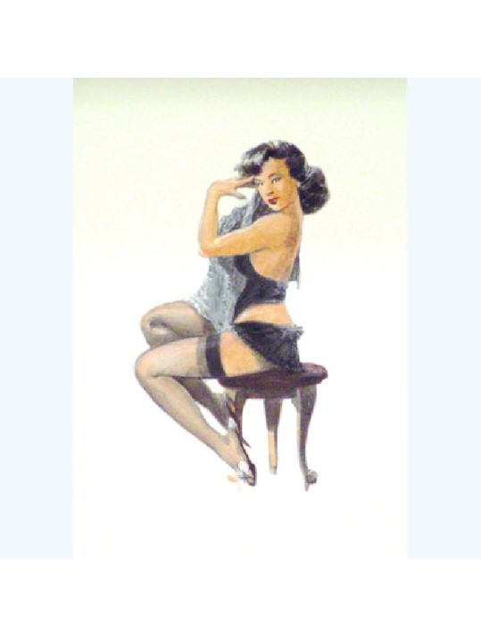Affiche Image du Portfolio PIN UP n°5 ; varanda ; 21x29 main product photo