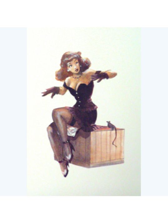 Affiche Image du Portfolio PIN UP n°8 ; varanda ; 21x29 main product photo