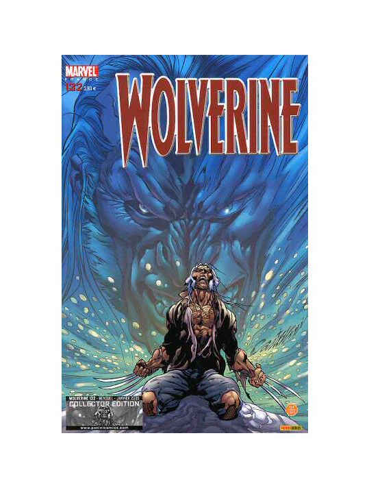 Wolverine (1re série) tome 132 - Le retour de l'indigène (2) (éd. 2005) main product photo