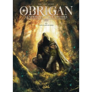 Obrigan - Le serment des druides tome 1