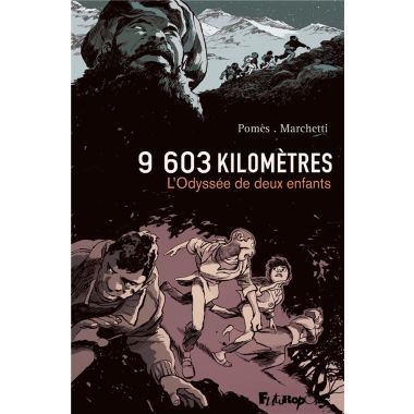 9603 km
