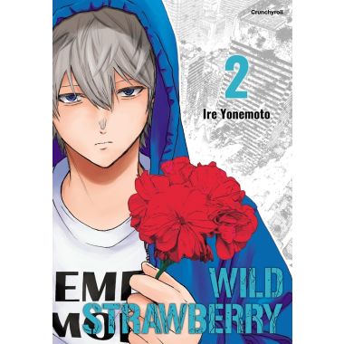 Wild strawberry tome 2