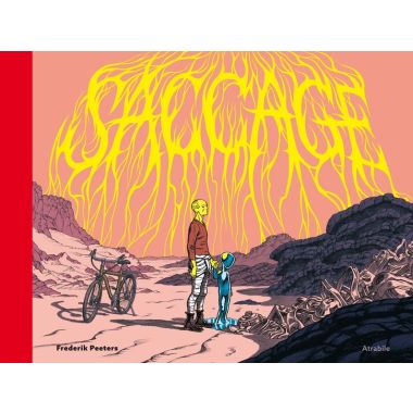 Saccage