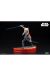 Statuette Ahsoka Tano