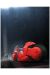 Affiche Banncars - Akira