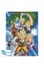 Poster Dragon Ball Z / Cell Saga