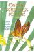DVD Contes Musicaux Animés 02