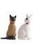 Tintin Images Mythiques : Milou & le Chat de Moulinsart