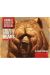 Animal Character design : Grizzly Bears