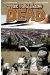 Walking dead tome 16 - a larger World (VO)