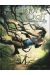 Lara Croft tome 1