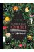 La cuisine dans Ghibli