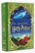 Harry Potter (roman illustré) tome 2 - Harry Potter et la chambre des secrets