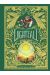 Lightfall - collector tome 1