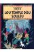 les aventures de Tintin : lis aventuro de Tintin tome 14 - lou tèmple dóu soulèu