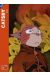 catsby tome 6