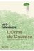 L'orme du Caucase
