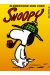 snoopy tome 13 - élémentaire mon cher snoopy