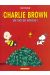 Charlie Brown tome 4 - un tas de soucis