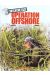 Insiders tome 2 - opération offshore