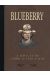 Blueberry - dyptique tome 4 - le cheval de fer - l'homme aux poings d'acier