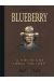 Blueberry - dyptique tome 5 - la piste des sioux - le général tête jaune