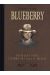 Blueberry - Intégrale tome 7 (tome 13 & tome 14)