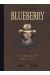 Blueberry - Intégrale tome 9 (tome 16 & tome 17)