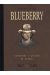 Blueberry - Intégrale tome 14 - (tome 26 & tome 27)