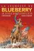 la jeunesse de Blueberry - intégrale magnum le cycle des complots tome 1 - tomes 10 à 13