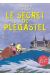 Le secret de plegastel