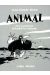 animal ; les aventures d'andré le corbeau