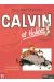 calvin et hobbes - intégrale tome 11
