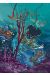 Luuna tome 9