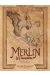 Merlin le prophète - intégrale tomes 1 à 5