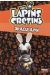 Les lapins crétins roman poche tome 13