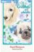 Le paradis des chiens tome 7