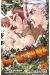 Dr. Stone tome 2